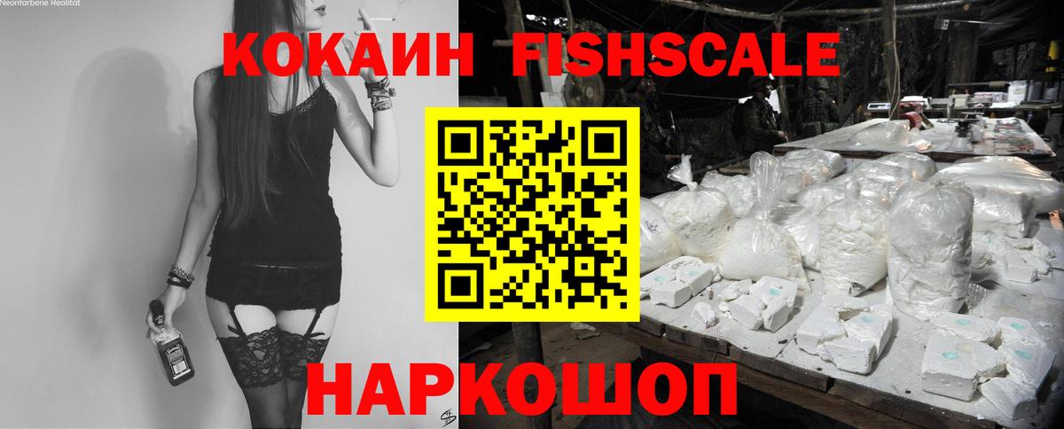 Пушкино  Cocaine Fish Scale  Вход с VPN  Cocaine VHQ 