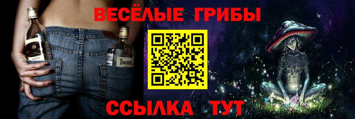 Псилоцибиновые грибы Psilocybine cubensis  Вход с VPN  Пушкино  Псилоцибиновые грибы Cubensis 